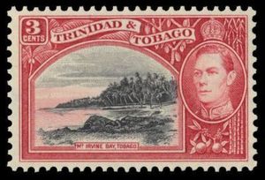 Mount Irvine Bay, Tobago