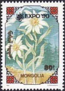 Stamp: Flower (Mongolia(Butterflies and Flowers of Mongolia ...
