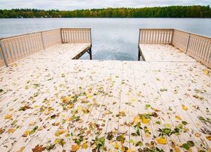 Autumn view. Lake