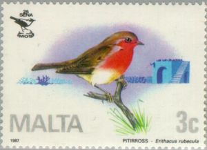 European Robin (Erithacus rubecula)