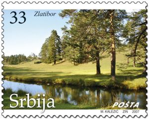 Riverside vegetation in the mountains Zlatibor