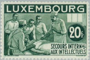 Surgeon (dark green)