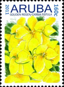 Golden Shower (Cassia fistula)