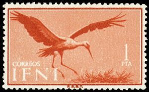 White Stork (Ciconia ciconia)