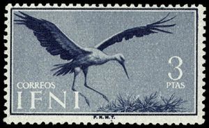 White Stork (Ciconia ciconia)