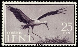 White Stork (Ciconia ciconia)