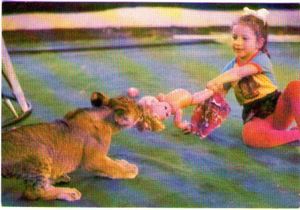 Yigitning kampir va jinnilik surati.