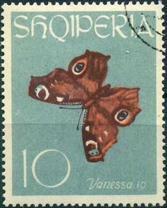 European peacock (Vanessa io)