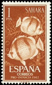 Stamp Fourbanded Butterflyfish (Chaetodon hoefleri) (Spanish Sahara