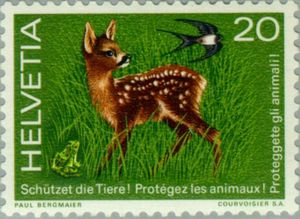 Roe Deer Fawn, Frog & Swallow