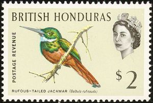 Rufous-tailed Jacamar (Galbula ruficauda)