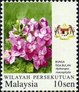 Stamp Bigleaf Hydrangea Wilayah Persekutuan Mi My Wp 27 Sn My Wp 16 Sg My K27 Wad My103 07