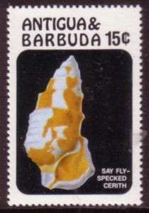 Fly-specked Cone (Conus stercusmuscarum)