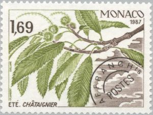 Branch of a Chestnut Tree in Summer