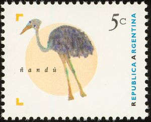 Greater Rhea (Rhea americana)