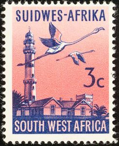 Swakopmund Lighthouse, Lesser Flamingo (Phoeniconaias minor)