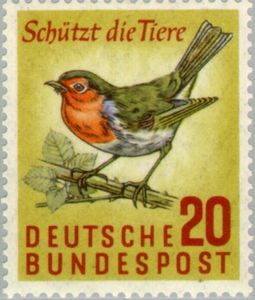 European Robin (Erithacus rubecula)