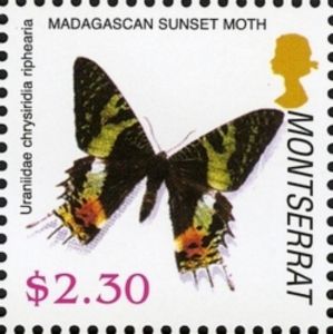 Madagascan Sunset Moth (Chrysiridia riphearia)