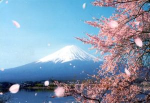 Postcard: Mt. Fuji (3,776 m) (Japan(_ Mount Fuji) Col:JP-000038 📮