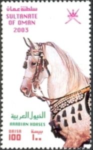 Arabian Horse (Equus ferus caballus)