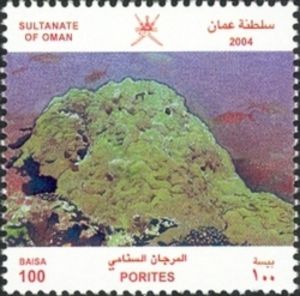 Stony Coral (Porites sp.)