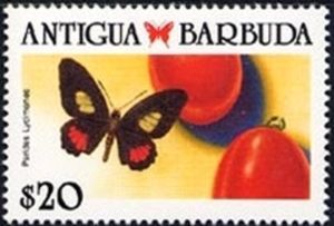 Wedge-spotted Cattleheart (Parides lycimenes )