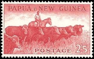 Cattle (Bos primigenius taurus)