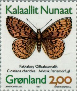 Arctic Fritillary (Clossiana chariclea)