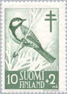 Great Tit (Parus major)