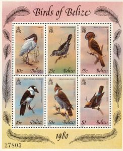 Birds of Belize 1980