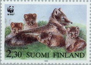 Arctic Fox (Vulpes lagopus)
