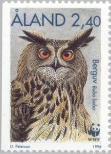 Eurasian Eagle-Owl (Bubo bubo)
