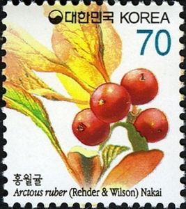 Arctous Ruber Stamp: Arctous ruber (Korea, SouthMi:KR 2596,Yt:KR 2400,Sg:KR 2938,WAD ...