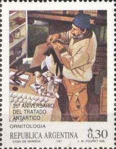 Ornithology research - Penguin