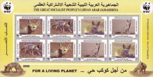 Rüppell's Fox (Vulpes rueppellii)