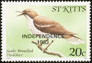 Scaly-breasted Thrasher (Allenia fusca) - overprinted