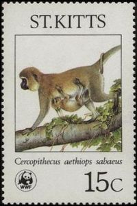 Stamp: Grivet (Chlorocebus aethiops) (Saint Kitts(Endangered Species