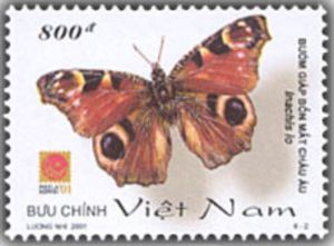 European peacock (Inachis io)