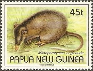 Sello Striped Bandicoot (Microperoryctes longicauda) (Papúa Nueva