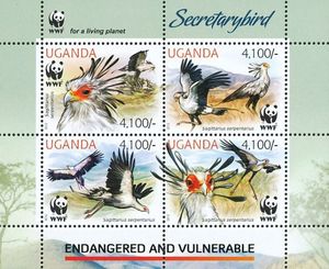 Secretarybird (Sagittarius serpentarius)