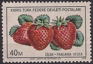 Strawberries (Fragaria vesca)