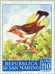 Red-breasted Flycatcher (Ficedula parva)