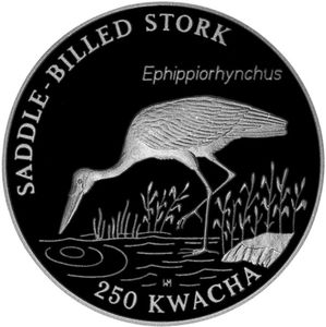 250 Kwacha (Saddle-billed Stork)
