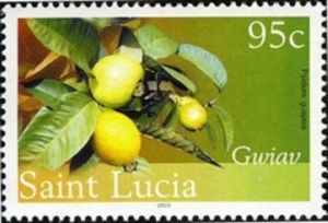 Gwiav or Guava (Psidium guajava)