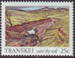 Wall construction to collect sediment