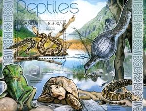 Reptiles