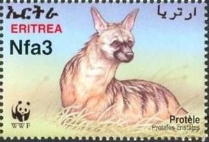 Aardwolf (Proteles cristatus)