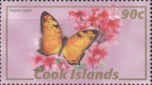 Vagrant (Vagrans egista)