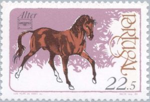 „Alter“ (Equus ferus caballus)