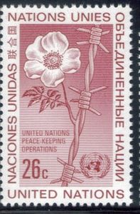 Wild Rose Growing from Barbed Wire